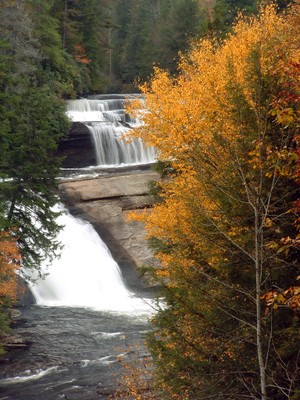 Triple Falls Dupont State Forest