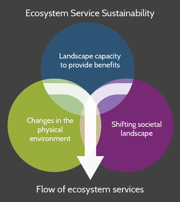 An ecosystem services research framework — Ecosystem Benefits & Risks