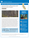 Central Sierra Recovery and Restoration