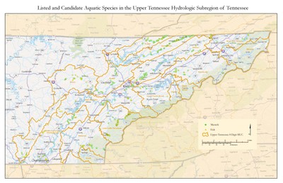 Map of Federally Listed Species within the UTRB in Tennessee