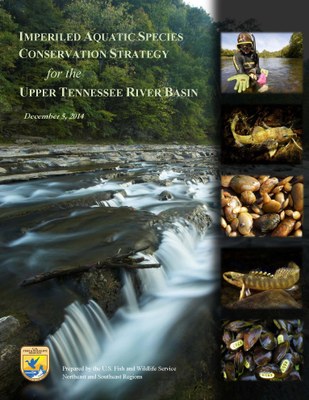 Conservation Strategy for Imperiled Aquatic Species in the UTRB