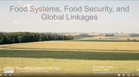 Climate Change Impact: Food Systems, Food Security, and Global Linkages