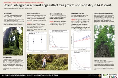 NPS National Capital Regional Network, Inventory, and Monitoring. Vines are an integral component of forests, competing with trees for resources and influencing forest  composition, carbon sequestration, and wildlife resources. Vine abundance is increasing in tropical forests, likely a result of fragmentation and elevated CO2. Research in temperate forests is limited,  but studies in the eastern U.S. show a similar increase in abundance. The Inventory and Monitoring Program monitors forests at permanent plots in the Washington, D.C. region.  Using these data, we asked: Is abundance of climbing  vines increasing? Are vines more  likely to spread near forest  edges? Does the presence of climbing  vines affect tree growth and mortality? We found that: vine abundance is increasing, climbing  vines are more  likely to spread to trees near forest  edges, and tree mortality is greater for trees with climbing  vines in their crown. Further, the effect on mortality of vines in the crown was greater for trees near a forest  edge.