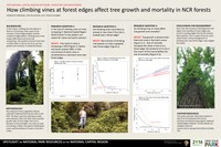 NPS National Capital Regional Network, Inventory, and Monitoring. Vines are an integral component of forests, competing with trees for resources and influencing forest  composition, carbon sequestration, and wildlife resources. Vine abundance is increasing in tropical forests, likely a result of fragmentation and elevated CO2. Research in temperate forests is limited,  but studies in the eastern U.S. show a similar increase in abundance. The Inventory and Monitoring Program monitors forests at permanent plots in the Washington, D.C. region.  Using these data, we asked: Is abundance of climbing  vines increasing? Are vines more  likely to spread near forest  edges? Does the presence of climbing  vines affect tree growth and mortality? We found that: vine abundance is increasing, climbing  vines are more  likely to spread to trees near forest  edges, and tree mortality is greater for trees with climbing  vines in their crown. Further, the effect on mortality of vines in the crown was greater for trees near a forest  edge.