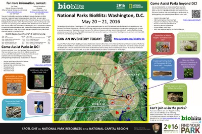 May 20-21, 2016. On May 20-21, 2016, National Capital  Region parks will host the National Parks BioBlitz – Washington D.C., a cornerstone event to celebrate the centennial of the National Park Service and Call to Action Goal #7 Next Generation Stewards. The BioBlitz is a 24-hour event intended to document and celebrate the biodiversity that exists in our national parks. Throughout the BioBlitz, we will be using teams, comprised of scientists and naturalists working alongside students, teachers, and you, the stewards of our National Parks, to conduct focused species inventories. The ecological heterogeneity of the parks affords many opportunities to catalog, record, and study diverse  organisms, ecological interactions, and biodiversity on a range of spatial and temporal scales. Concurrent with the BioBlitz inventories, we will host a Biodiversity Festival at Constitution Gardens on the National Mall.  The festival will include public presentations about biodiversity, nature inspired entertainment, structured scientific field activities, demonstrations of field technology, and exhibits ranging  from global biodiversity and citizen science initiatives to art and wildlife photography. Sign-up today to serve as an Inventory Leader, to be an iNaturalist Pro-Observer, to bring your classroom outside, or to be a citizen scientist. Or help us identify observations from the event, by going through pictures on iNaturalist.org.