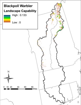 Landscape Capability for Blackpoll Warbler