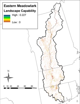 Landscape Capability for Eastern Meadowlark