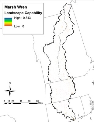 Landscape Capability for Marsh Wren