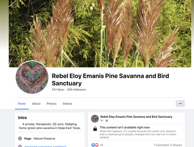 Rebel Eloy Emanis Pine Savanna and Bird Sanctuary