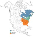 Distribution of the American Black Duck