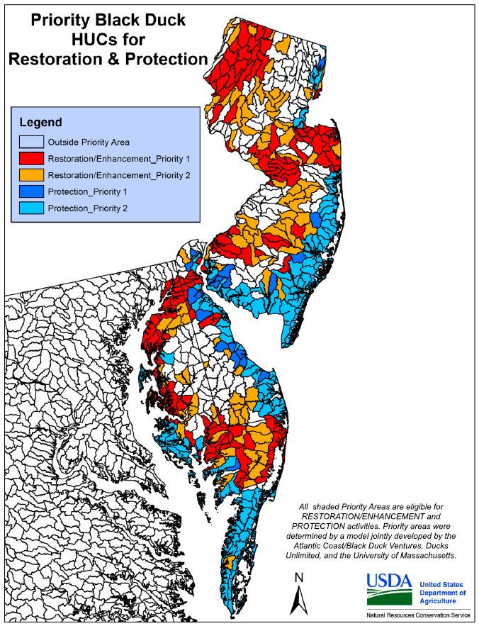 Map of Priority Areas for WLFW-Black Duck Projects
