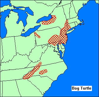 Range-wide assessment of grazing and hydrology in bog turtle wetlands