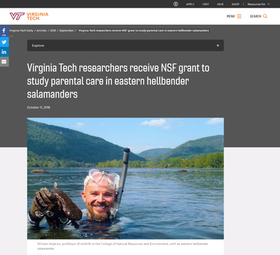 Virginia Tech Researchers Receive NSF Grant to Study Parental Care in Eastern Hellbender Salamanders