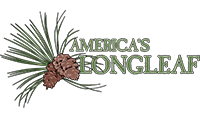 America's Longleaf Restoration Initiative