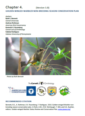 Golden-winged Warbler Non-breeding Season Conservation Plan