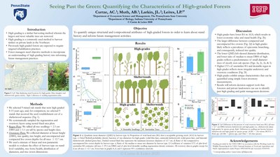 Seeing past the green: Structure, composition, and biomass differences in high graded and silviculture-managed forests of similar stand density
