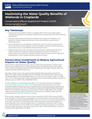 Maximizing the Water Quality Benefits of Wetlands in Croplands