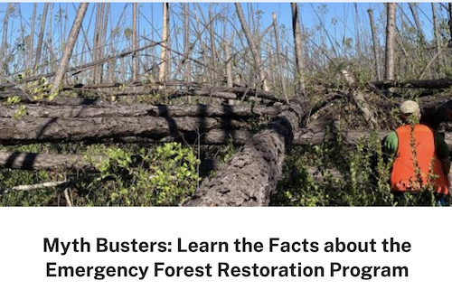 Myth Busters: Learn the Facts about the Emergency Forest Restoration Program
