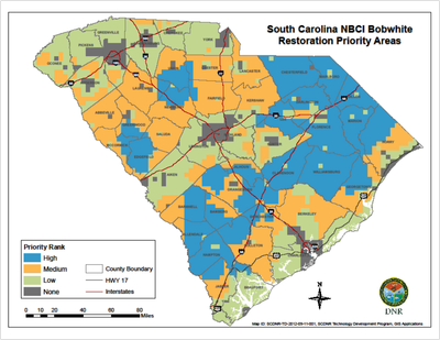 South Carolina Priority Area Shapefile