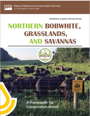 Northern bobwhite, Grasslands, and Savannas (2022) Framework for Conservation Action