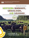 Working Lands for Wildlife: Northern Bobwhite, Grasslands and Savannas Framework for Conservation Action