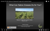 Planting Native Grasses: Missouri Forage and Livestock Series