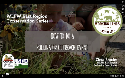 WLFW East Region Pollinator Conservation Webinar Series: Session # 10 How to Do a Pollinator Outreach Event