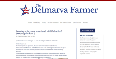 Looking to increase waterfowl, wildlife habitat? (Keeping the Farm)