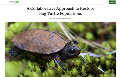 A Collaborative Approach to Restore Bog Turtle Populations 