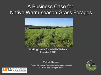 Establishing Native Grass Forages:A Brief Overview w/ Dr. Pat Keyser