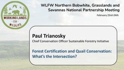 Forest Certification and Quail Conservation: What’s the Intersection?: Paul Trianosky
