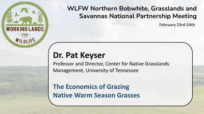The Economics of Grazing Native Warm Season Grasses: Dr. Pat Keyser