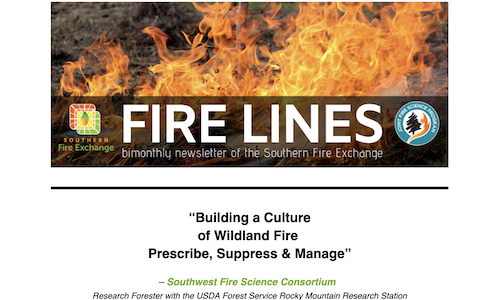 Fire Lines November 2023 (Volume 13, Issue 4)