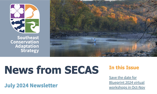 News from SECAS July 2024 Newsletter