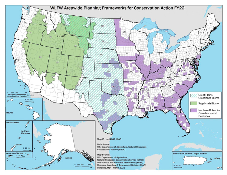 Areawide Planning Frameworks map smaller