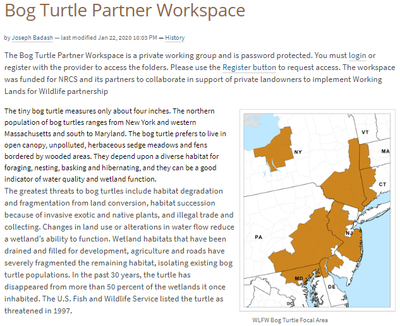 Bog Turtle Partner Workspace