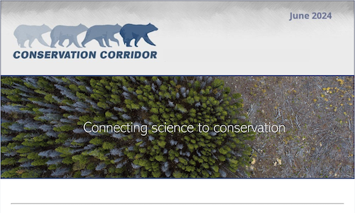 Conservation Corridor June 2024 Newsletter