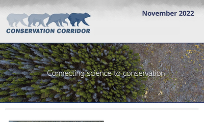 Conservation Corridor Newsletter November 2022
