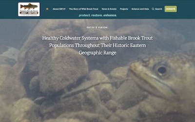 Eastern Brooke Trout Joint Venture Newsletters