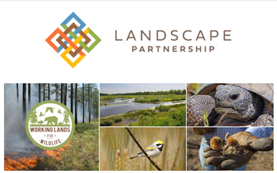 Landscape Partnership Newsletter-USDA Doubling Down On Growth Of NRCS Working Lands For Wildlife!