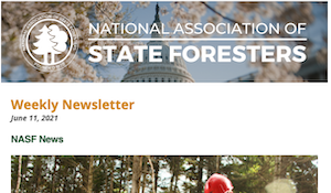 National Association of State Foresters Weekly Newsletter June 11 2021