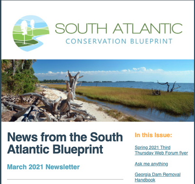 News from the South Atlantic Blueprint March 2021 Newsletter
