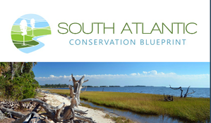 News from the South Atlantic Blueprint May 2021 Newsletter