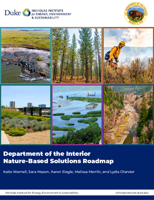 DOI Nature-based Solutions Roadmap