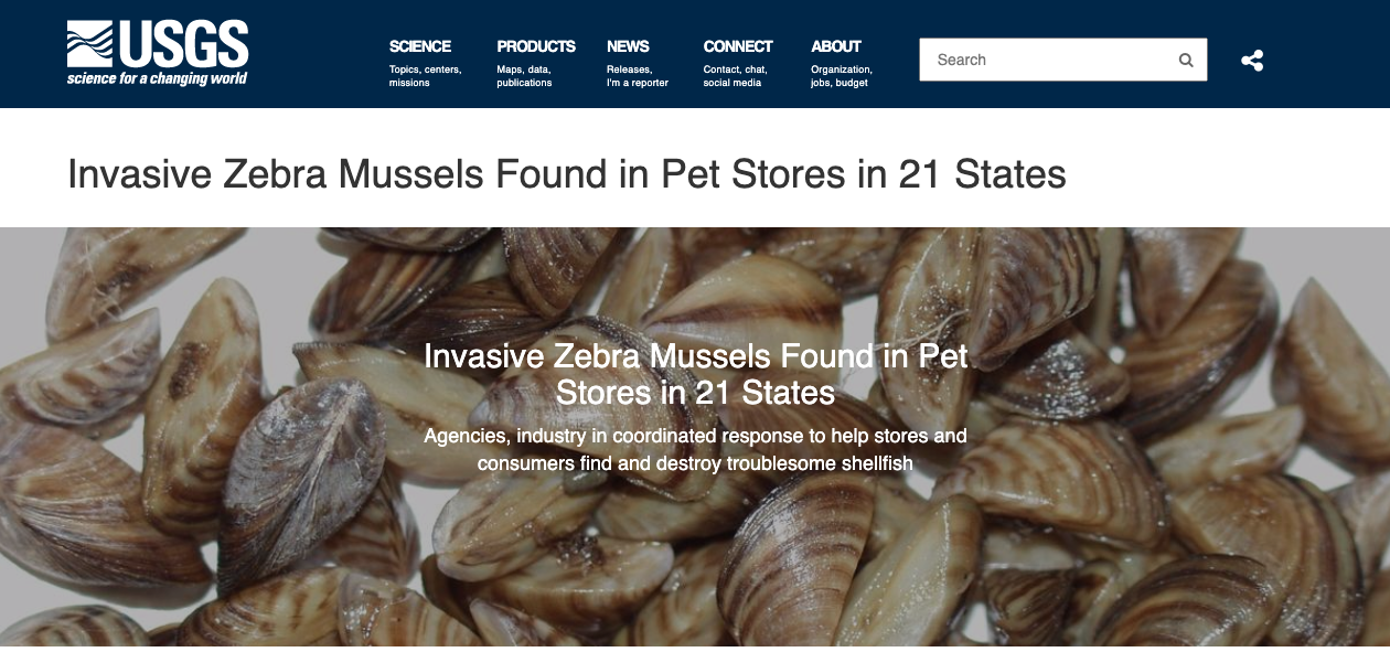 Invasive, destructive zebra mussels detected in NC moss balls