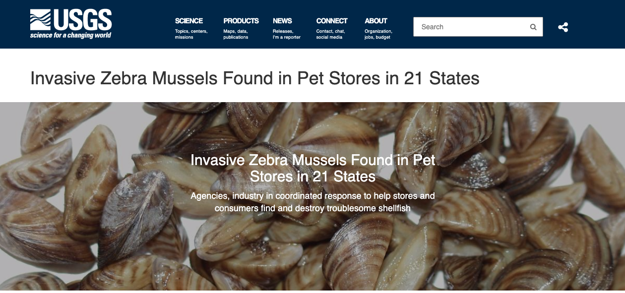 Invasive Zebra Mussels found in aquarium “moss ball” product in pet,  aquarium supply stores - The Rockwall Times