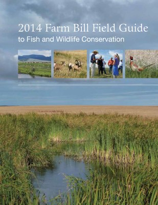 New Farm Bill Guide Now Available