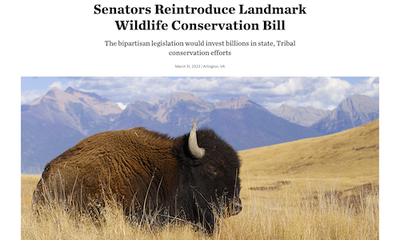 Senators Reintroduce Landmark Wildlife Conservation Bill