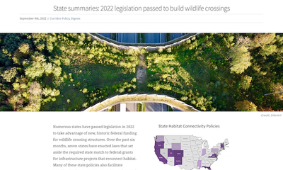 State summaries: 2022 legislation passed to build wildlife crossings