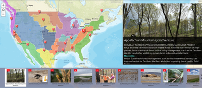 Story Map Illustrates Accomplishments of Migratory Bird JVs